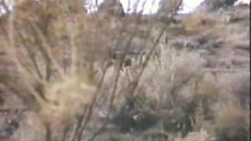 Rough sex is a major part of desadov films and some even contain xxx rape scenes, where real rape is used as material.