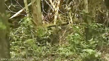 Forced anal in a homemade rape porn video is an act of violence that no person should have to experience.