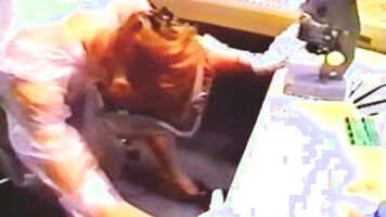 Forced family porn video with a girl unable to protect herself yet in extreme pleasure.