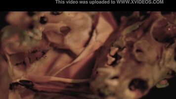 Necrofilia