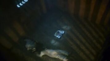 No wive should ever have to experience such abominable scenes.